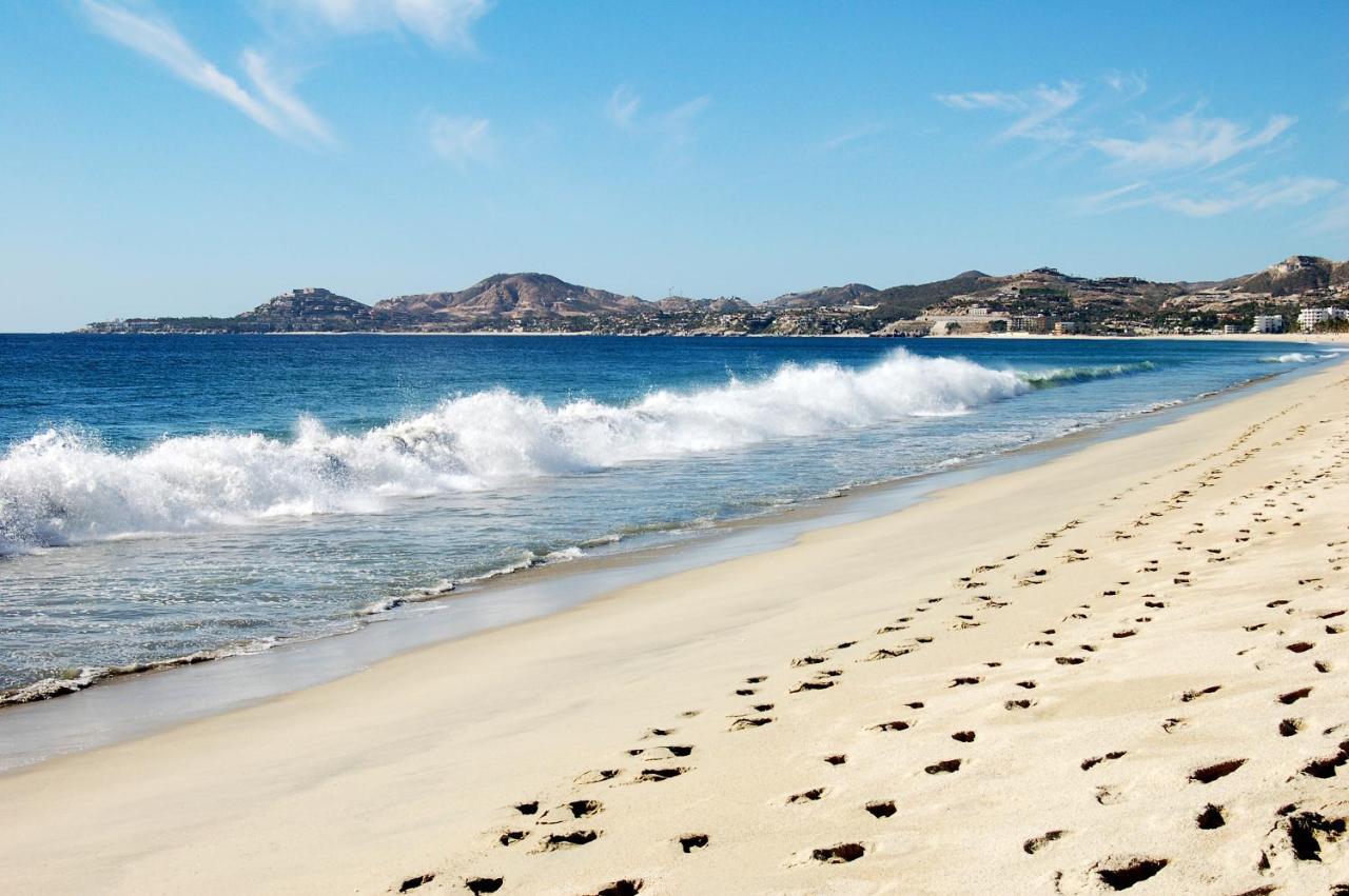 Tropical Oasis Property San Jose del Cabo Exterior photo