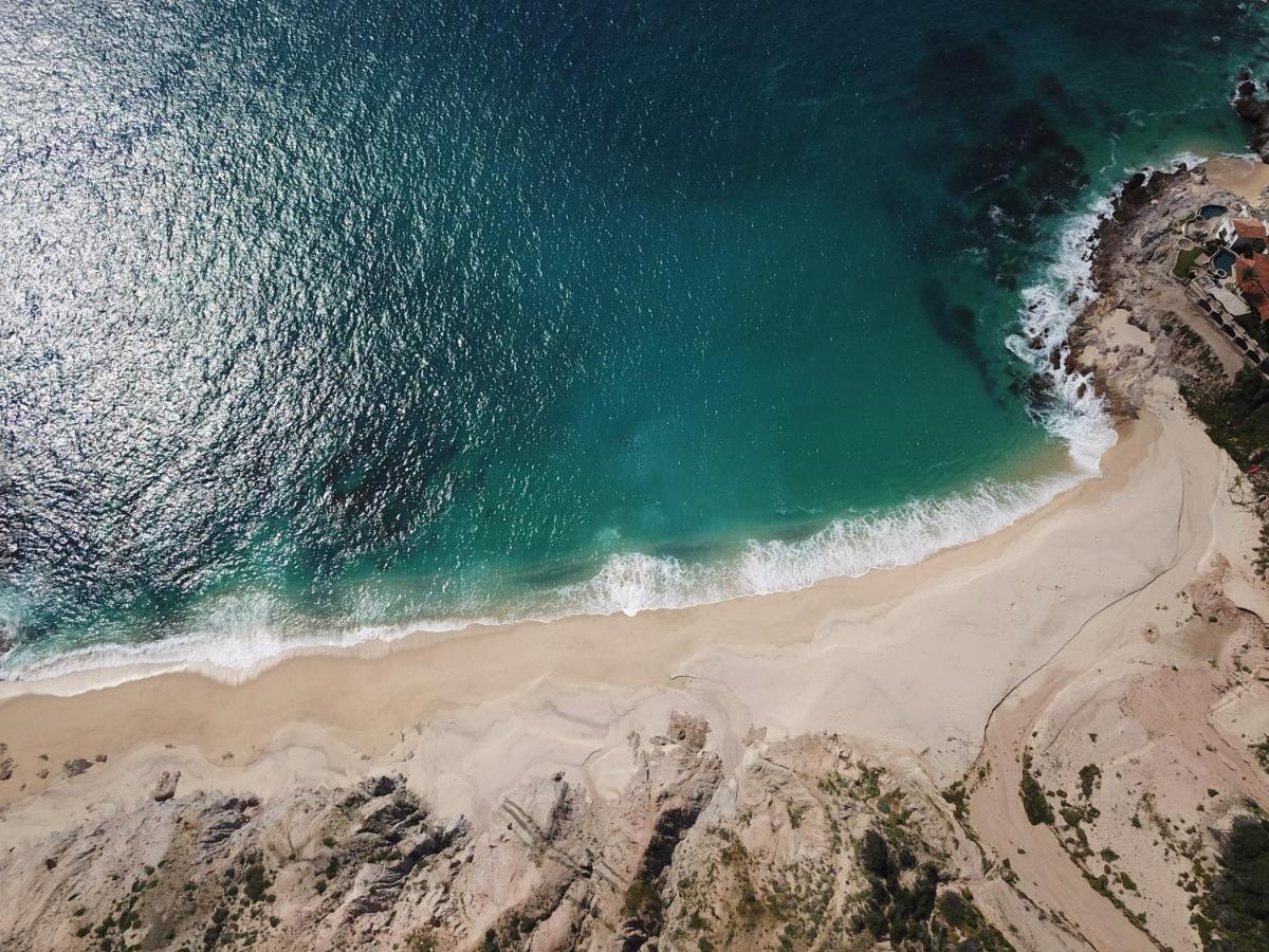 Tropical Oasis Property San Jose del Cabo Exterior photo